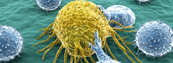 683-cancer-cell